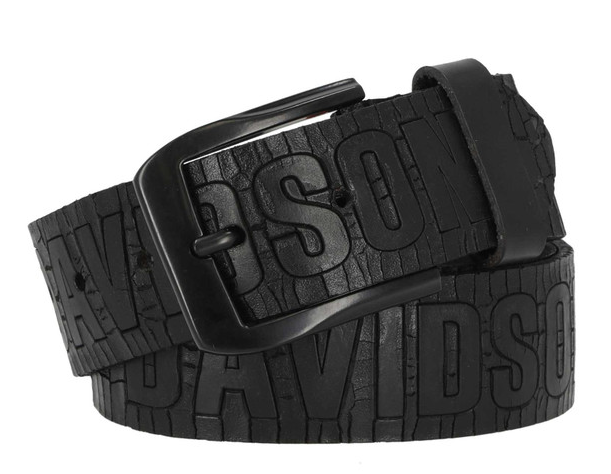Men's Cracked Earth Raised H-D Logo Belt - Black